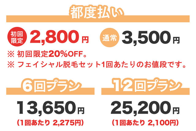 ェイシャル脱毛セット