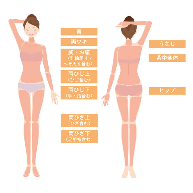 全身脱毛セット