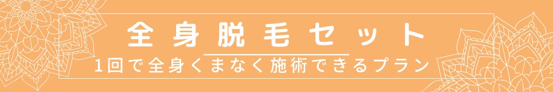 全身脱毛セット