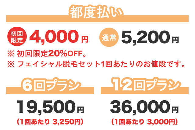 フェイシャル脱毛セット