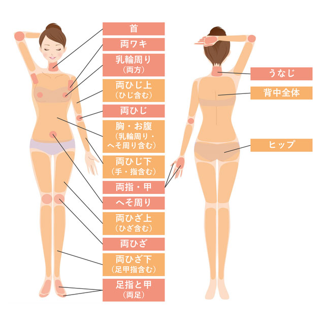 パーツメニュー