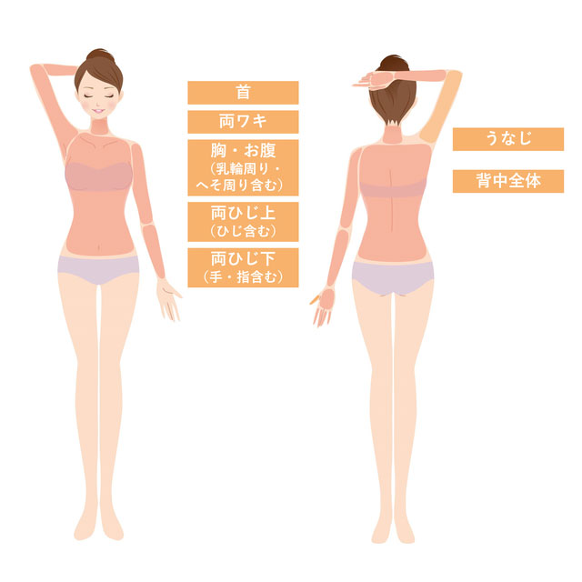 上半身脱毛セット