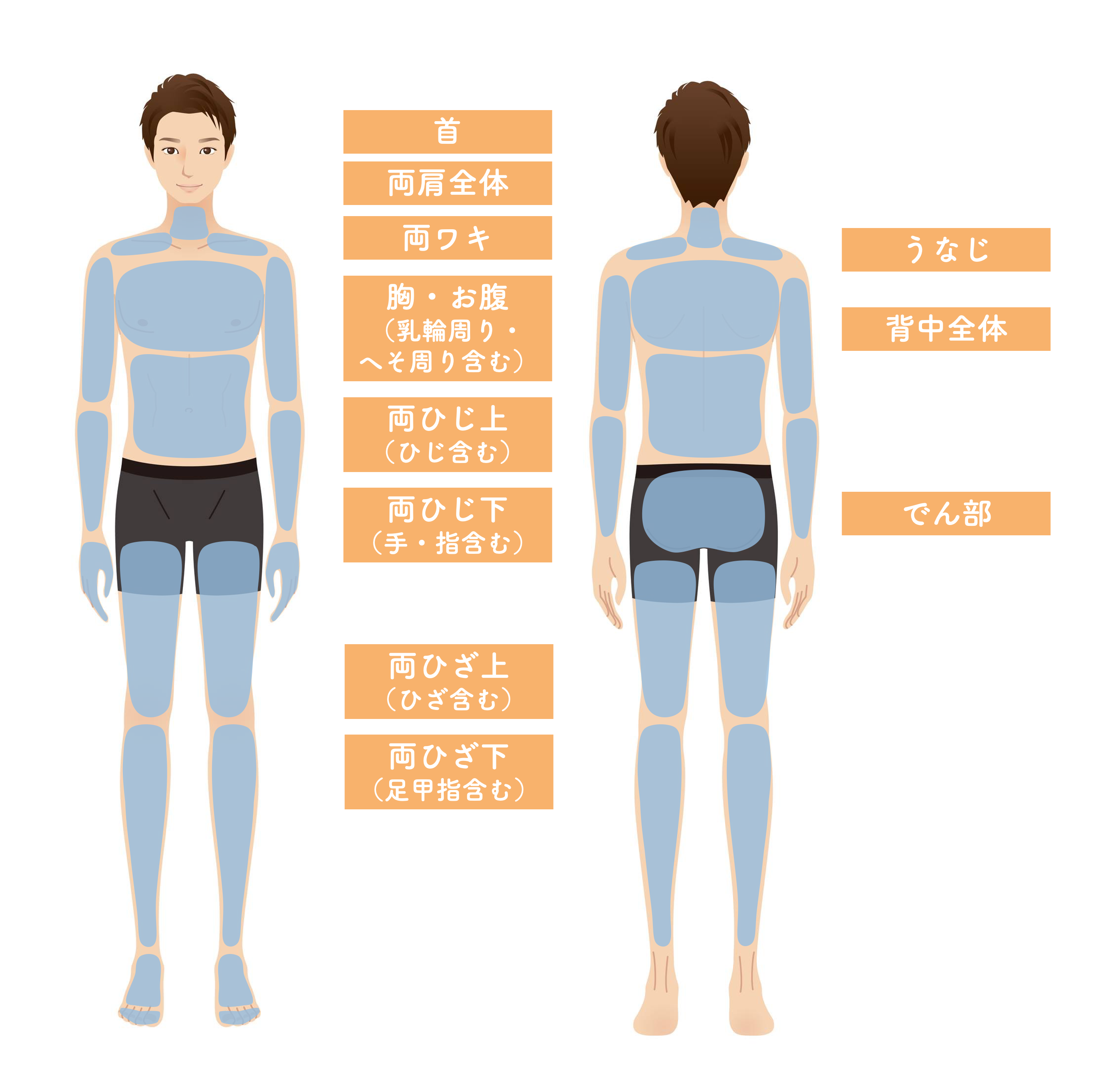全身脱毛セット