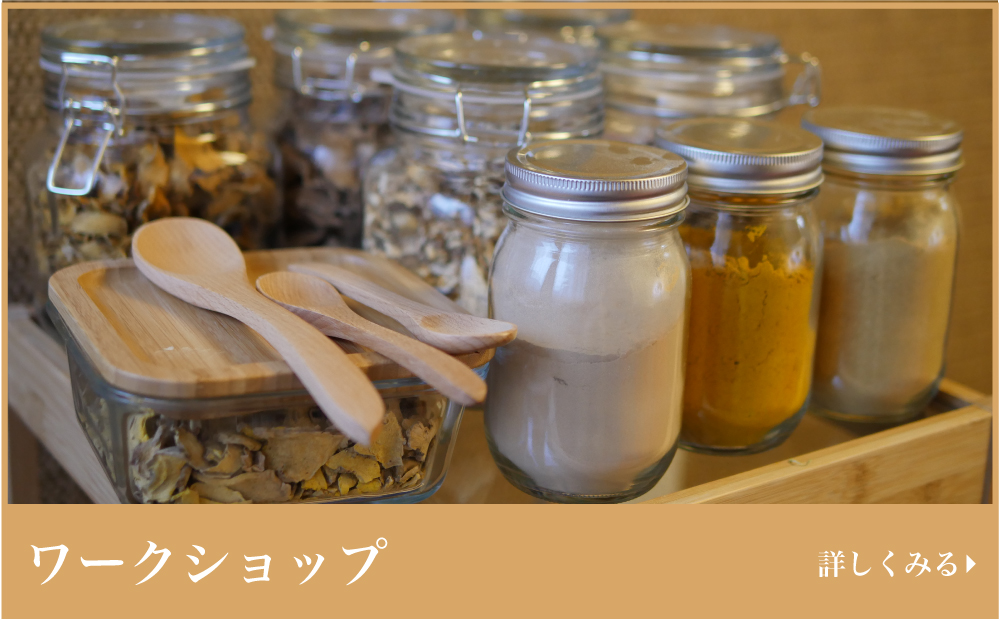 ワークショップ