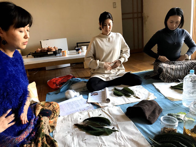 腹ぽかアドバイザープログラム